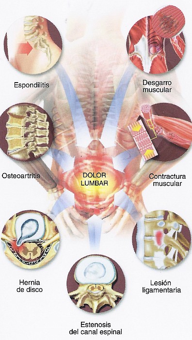 PATOLOGIA TRATADA